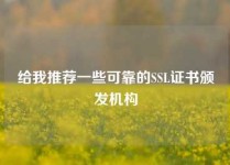 给我推荐一些可靠的SSL证书颁发机构