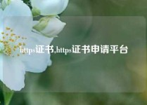 https证书,https证书申请平台