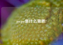 pw,pw是什么意思?
