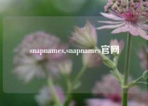 snapnames,snapnames官网