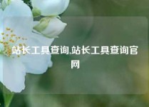 站长工具查询,站长工具查询官网