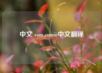 中文 com,comic中文翻译