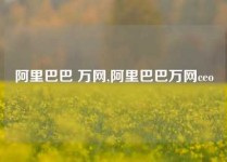 阿里巴巴 万网,阿里巴巴万网ceo