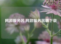 网游服务器,网游服务器端下载