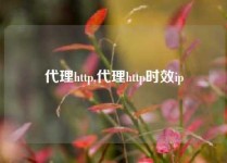 代理http,代理http时效ip