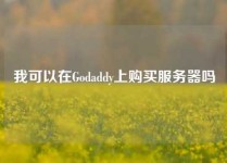 我可以在Godaddy上购买服务器吗