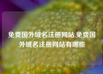 免费国外域名注册网站,免费国外域名注册网站有哪些