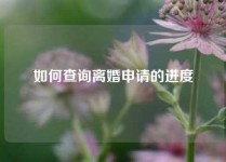 如何查询离婚申请的进度