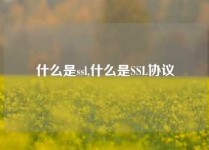 什么是ssl,什么是SSL协议