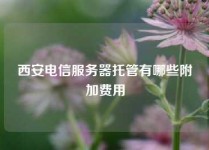 西安电信服务器托管有哪些附加费用