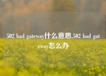 502 bad gateway什么意思,502 bad gateway怎么办