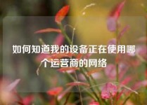 如何知道我的设备正在使用哪个运营商的网络