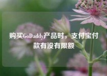 购买GoDaddy产品时，支付宝付款有没有限额