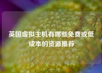 英国虚拟主机有哪些免费或低成本的资源推荐
