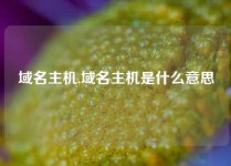 域名主机,域名主机是什么意思