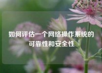 如何评估一个网络操作系统的可靠性和安全性