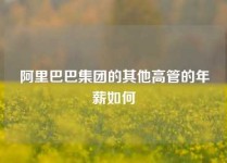 阿里巴巴集团的其他高管的年薪如何