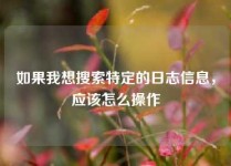 如果我想搜索特定的日志信息，应该怎么操作