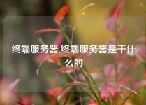 终端服务器,终端服务器是干什么的