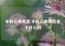 手机云服务器,手机云服务器是干什么的