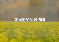 如何避免买到仿牌