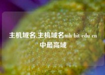 主机域名,主机域名mh bit edu cn中最高域