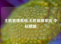 主机管理系统,主机管理系统 中标麒麟