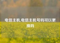 电信主机,电信主机号码可以更换吗
