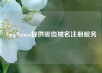SnapNames提供哪些域名注册服务