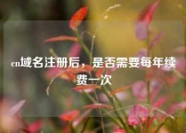 cn域名注册后，是否需要每年续费一次