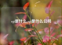 cgi是什么,cgi是什么公司