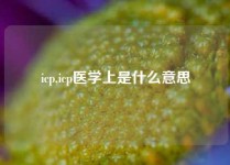 icp,icp医学上是什么意思