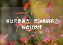 该公司是否有一些知名的客户或合作伙伴