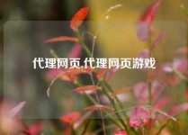 代理网页,代理网页游戏