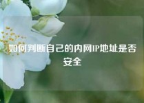 如何判断自己的内网IP地址是否安全