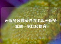云服务器哪家性价比高,云服务器哪一家比较便宜