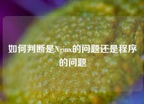 如何判断是Nginx的问题还是程序的问题
