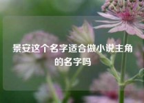 景安这个名字适合做小说主角的名字吗