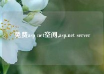免费asp net空间,asp.net server