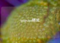 ipage,ipa格式