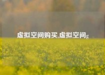 虚拟空间购买,虚拟空间g