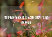 如何选择适合自己的国外代理服务器