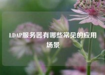 LDAP服务器有哪些常见的应用场景