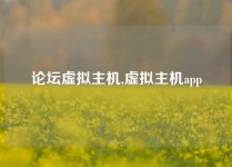 论坛虚拟主机,虚拟主机app