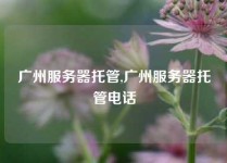 广州服务器托管,广州服务器托管电话