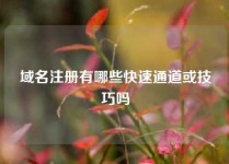 域名注册有哪些快速通道或技巧吗