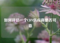如何评估一个CDN供应商是否可靠