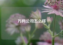 万网公司怎么样