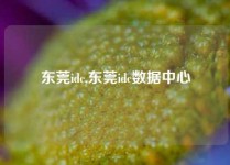 东莞idc,东莞idc数据中心
