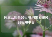 阿里云服务器租用,阿里云服务器租用平台